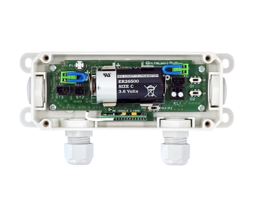 Tormodul WSD für TS 971